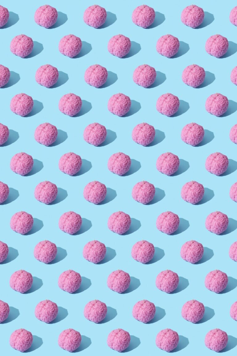 Brains with a Light Blue Background